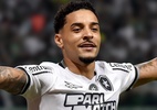 Botafogo dispara na chance de título do Brasileirão; Palmeiras despenca