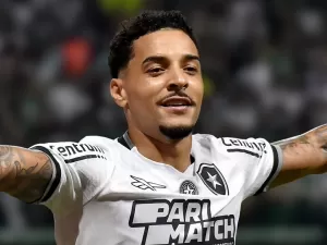 Botafogo dispara na chance de título do Brasileirão; Palmeiras despenca