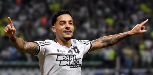 botafogo lidera disputa pelo título do brasileirão enquanto palmeiras enfrenta queda abrupta