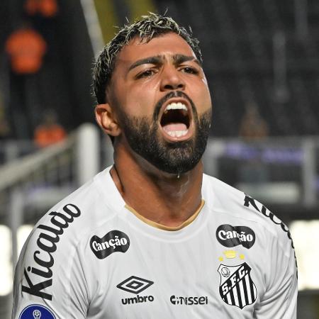 Gabigol comemora gol marcado pelo Santos contra a Universidad Central na Sul-Americana