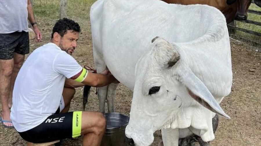 Fred, ex-atacante e ídolo do Fluminense, aparece em vídeo tirando leite de vaca - Reprodução/Instagram