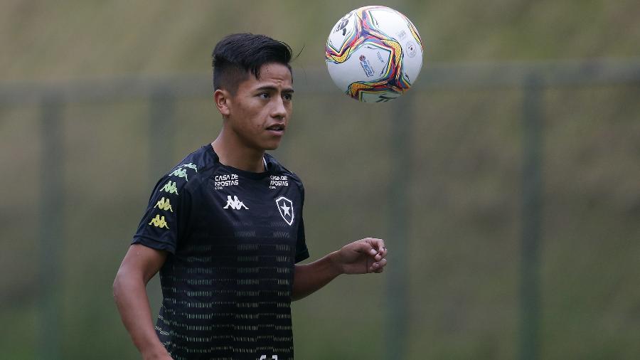 Peruano Alexander Lecaros é um dos reforços do Botafogo para 2020, mas ainda sequer estreou - Vitor Silva/Botafogo