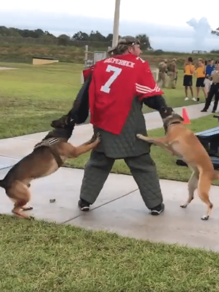 Homem usa camisa de Colin Kaepernick durante demonstração militar de ataque de cães - Reprodução