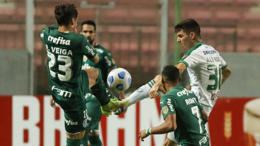 América-MG x Palmeiras jogam pelo Brasileirão  - Fernando Moreno/AGIF
