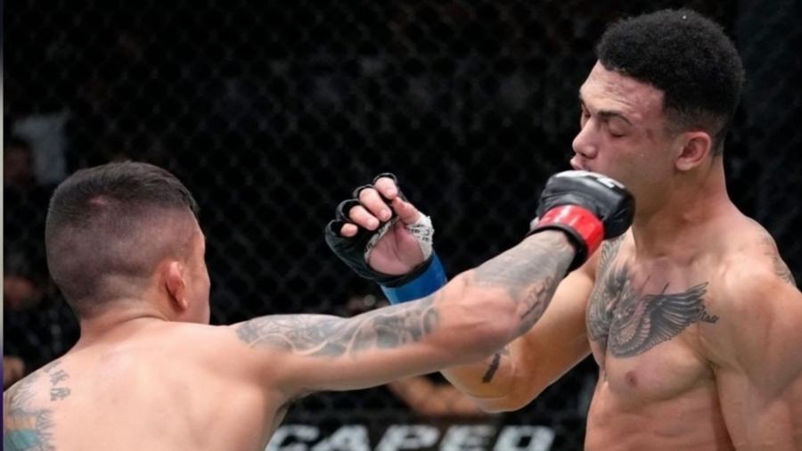 Daniel Miojo é nocauteado por Jeff Molina no UFC Vegas 41 - Reprodução/Instagram