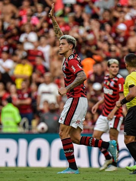 Onde assistir ao vivo e online o jogo do Flamengo hoje, quarta, 15