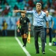 Bahia e Grêmio: Renato e jogadores podem ser punidos por abandonarem o jogo
