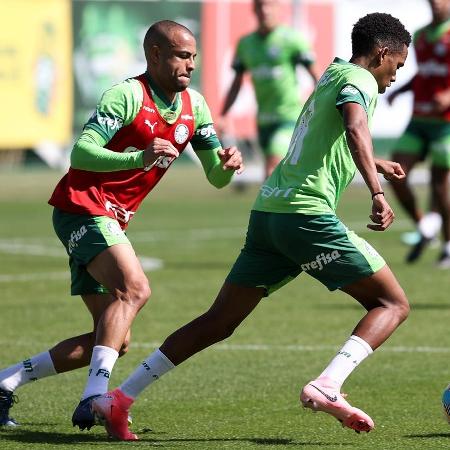 Mayke e Estêvão avançaram na recuperação e devem ficar à disposição de Abel Ferreira