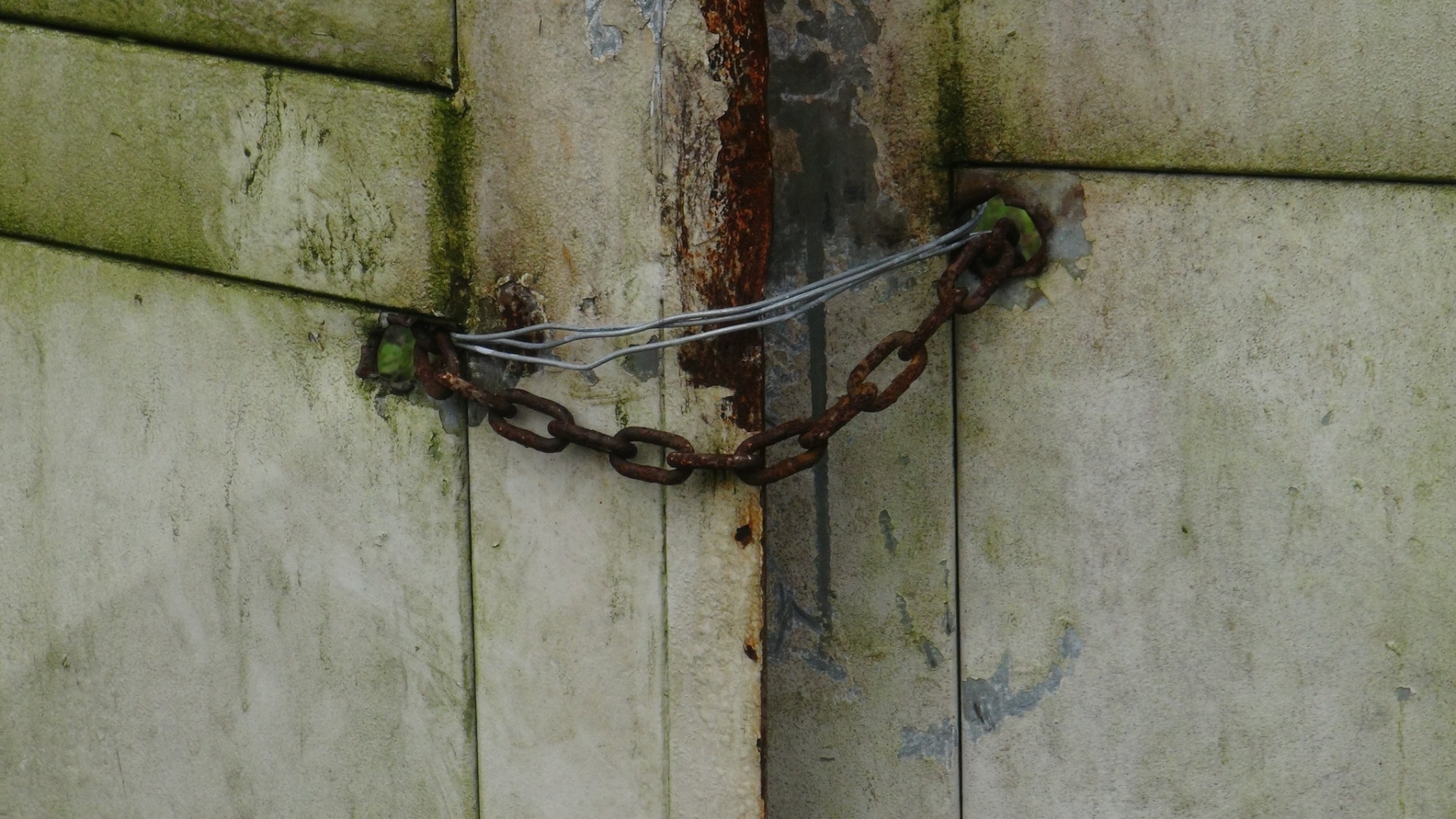 Foram compradas portas blindadas para o Estádio Municipal do Guarujá, mas elas ainda não foram instaladas - Samir Carvalho/UOL