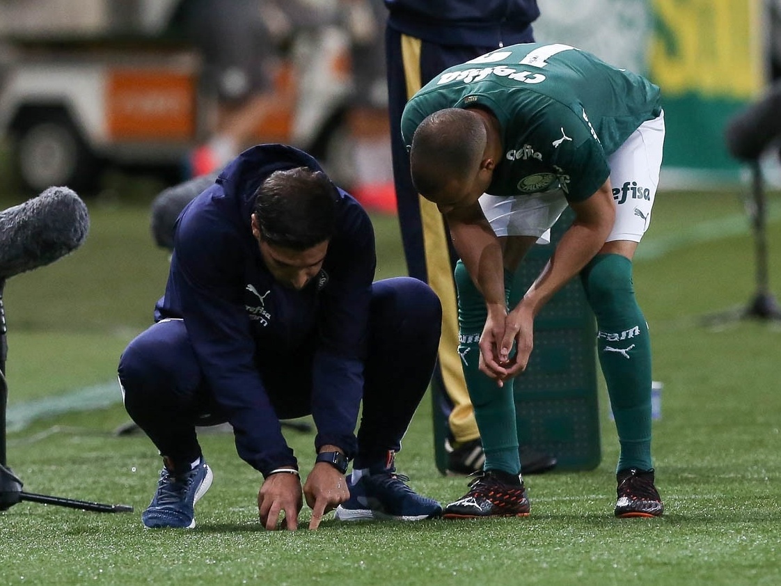 De ponto em ponto Palmeiras tem mais empates que vitórias no Brasileirão  - PTD