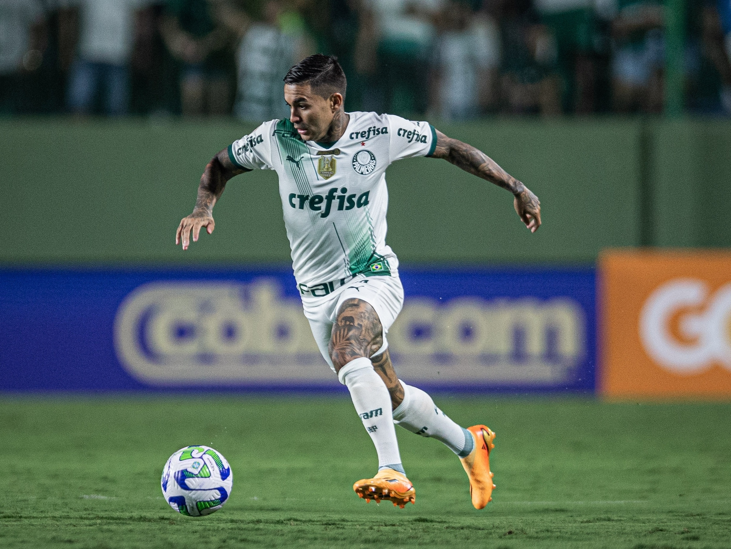 ACOMPANHE OS JOGOS DO PALMEIRAS EM 2019; SAIBA COMO