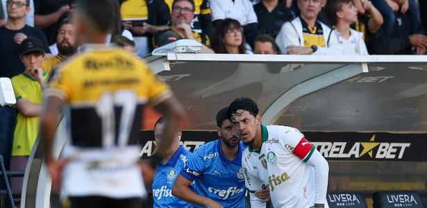 Gómez destaca evolução do Palmeiras em vitória sobre o Criciúma.