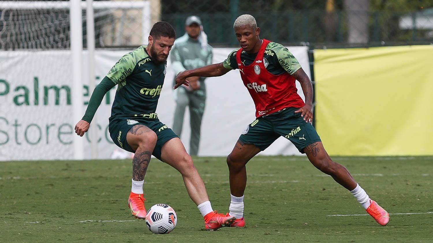 Após críticas da torcida palmeirense, Abel Ferreira defende Zé Rafael