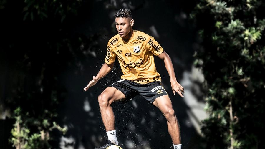 Vinicius Balieiro, do Santos - Ivan Storti/Santos FC