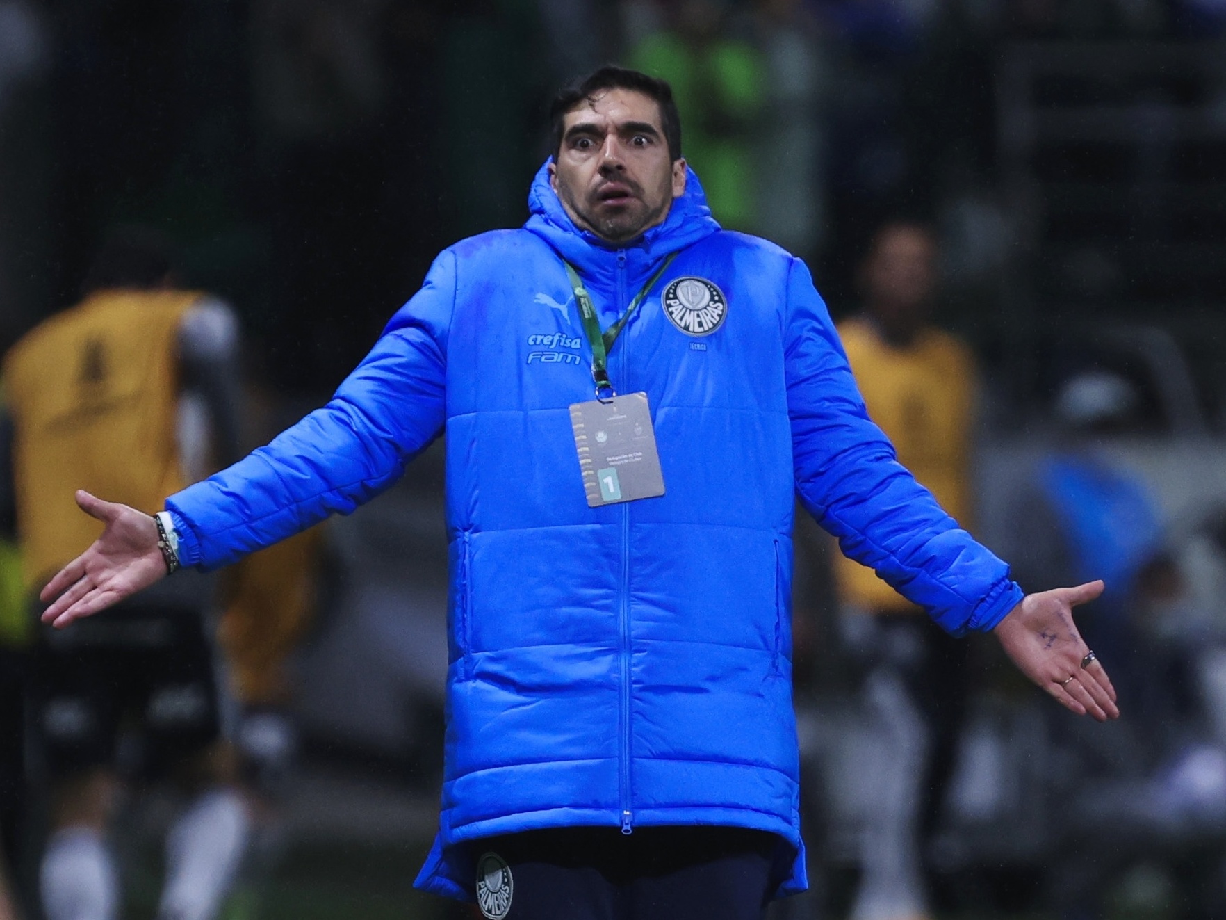 Corporativismo de técnicos do país se recicla para atacar Abel Ferreira