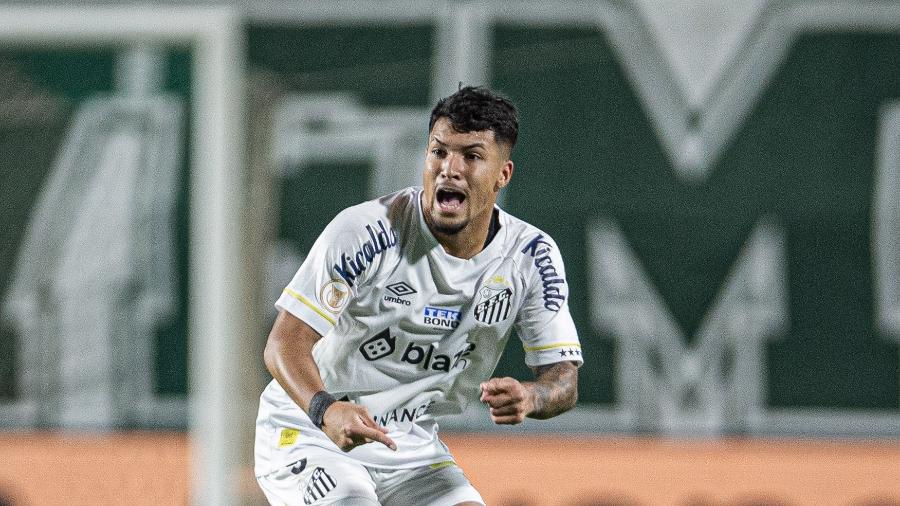 Marcos Leonardo marcou 21 gols em 49 jogos oficiais pelo Santos em 2023