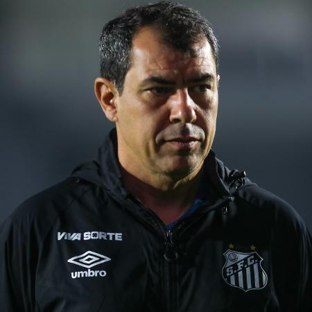 Fábio Carille, técnico do Santos, durante jogo contra a Ponte Preta