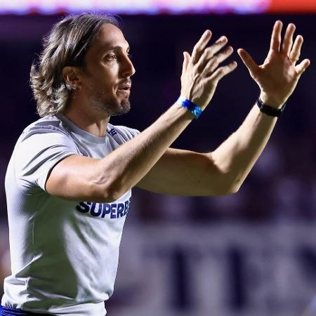 Luis Zubeldía, técnico do São Paulo, durante jogo contra o Botafogo - Marcello Zambrana/AGIF