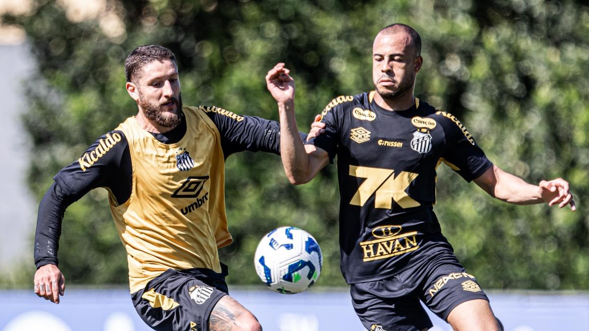 Dupla ex-Palmeiras pode entrar na Justiça contra o Santos