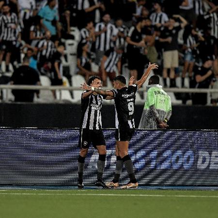 Jogadores do Botafogo comemoram gol marcado contra o São Paulo pelo Brasileirão - Thiago Ribeiro/AGIF