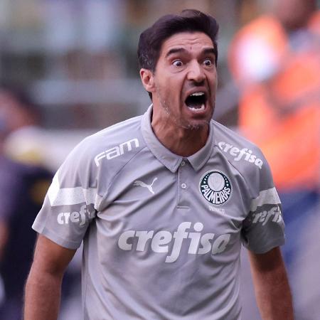 Abel Ferreira grita durante Palmeiras x Fluminense, confronto do Campeonato Brasileiro