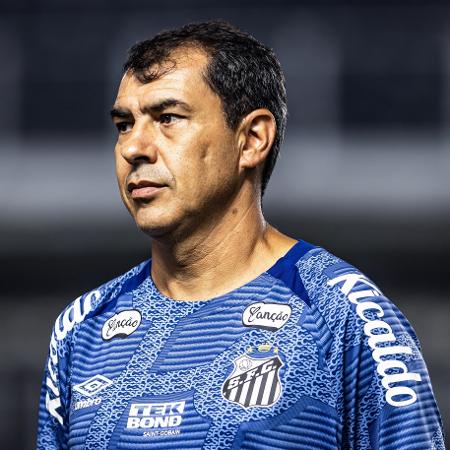 Fábio Carille, técnico do Santos, durante jogo contra o Guarani pela Série B