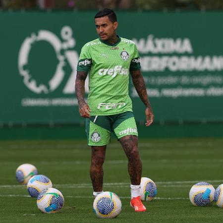 Dudu, atacante do Palmeiras, em treino na Academia de Futebol