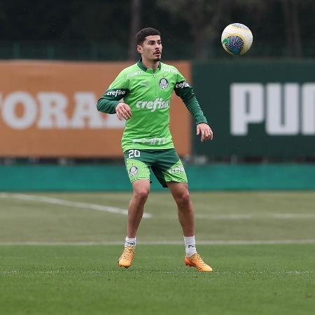 O meia Rômulo durante treino do Palmeiras na Academia de Futebol