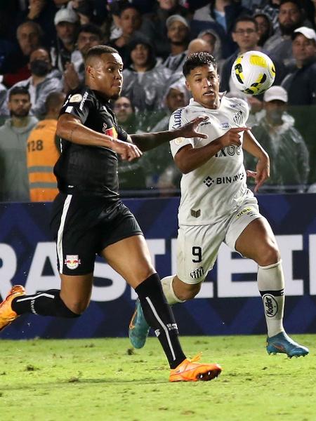 Palmeiras e São Paulo lideram jogos da TV Globo no Brasileirão; veja ganhos