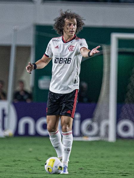 David Luiz em ação pelo Flamengo no empate com o Goiás - Isabela Azine/AGIF