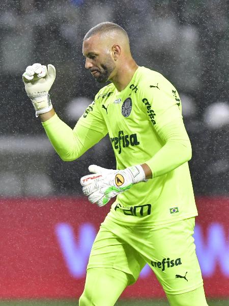 Palmeiras agora! Novo goleiro, compra confirmada e apoio para