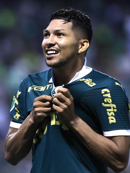 Rony comemora seu gol pelo Palmeiras contra o Botafogo-SP no Campeonato Paulista
