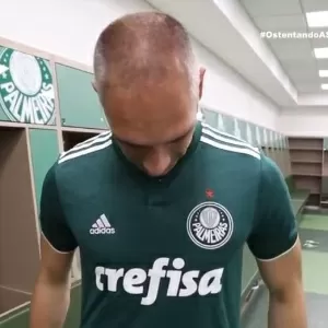 Modificação do Escudo do Palmeiras 2.0 (agora partindo da versão de  u/decofoxsp do ano passado) : r/futebol