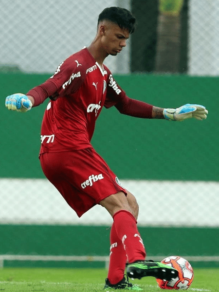 Natan atua no sub-17 do Palmeiras - Reprodução 