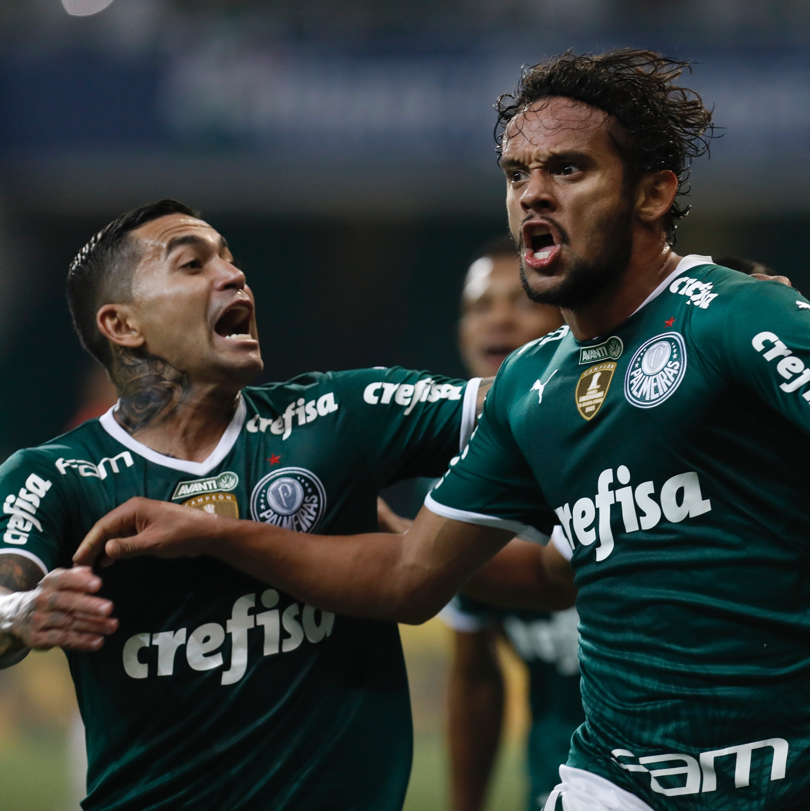 Goiás x Palmeiras – Sábado 16/04/2022 – 16h30- Orientações  Sócios-Torcedores - Goiás Esporte Clube