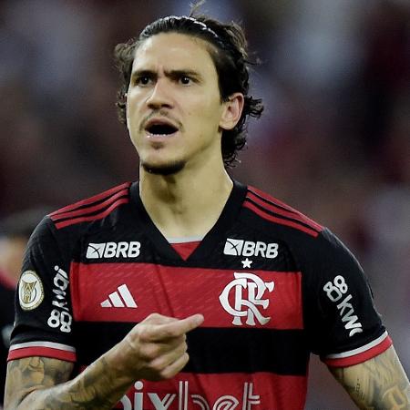 Pedro comemora após marcar em jogo entre Fluminense e Flamengo pelo Campeonato Brasileiro