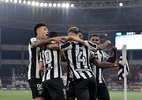 Botafogo retoma a liderança ao golear Flamengo, que perde jogo e Arrascaeta - Thiago Ribeiro/Agif