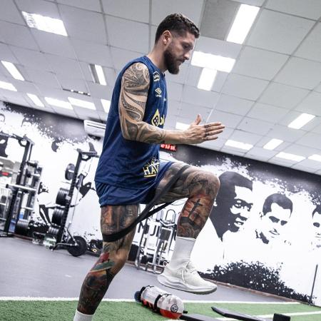 Zé Rafael, do Santos - Raul Baretta/Santos FC