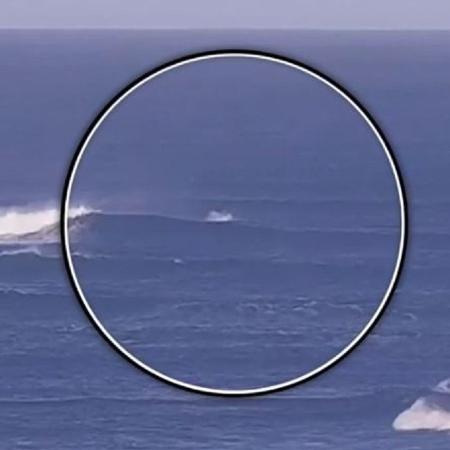 Tubarão ataca surfista em praia onde acontece etapa do Circuito Mundial de Surfe (WSL)