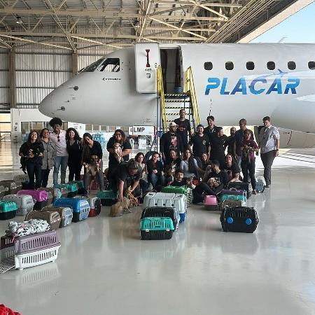 Presidente palmeirense colocou aeronave para "quantas viagens forem necessárias"
