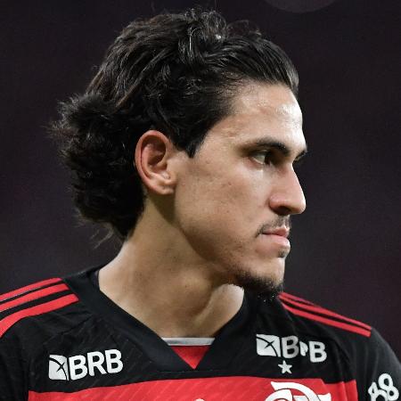 Pedro será titular do Flamengo no jogo contra o Bragantino no Brasileirão Pedro será titular do Flamengo no jogo contra o Bragantino no Brasileirão