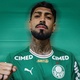 Palmeiras anuncia contrata&ccedil;&atilde;o do zagueiro Alexander Barboza, ex-Botafogo