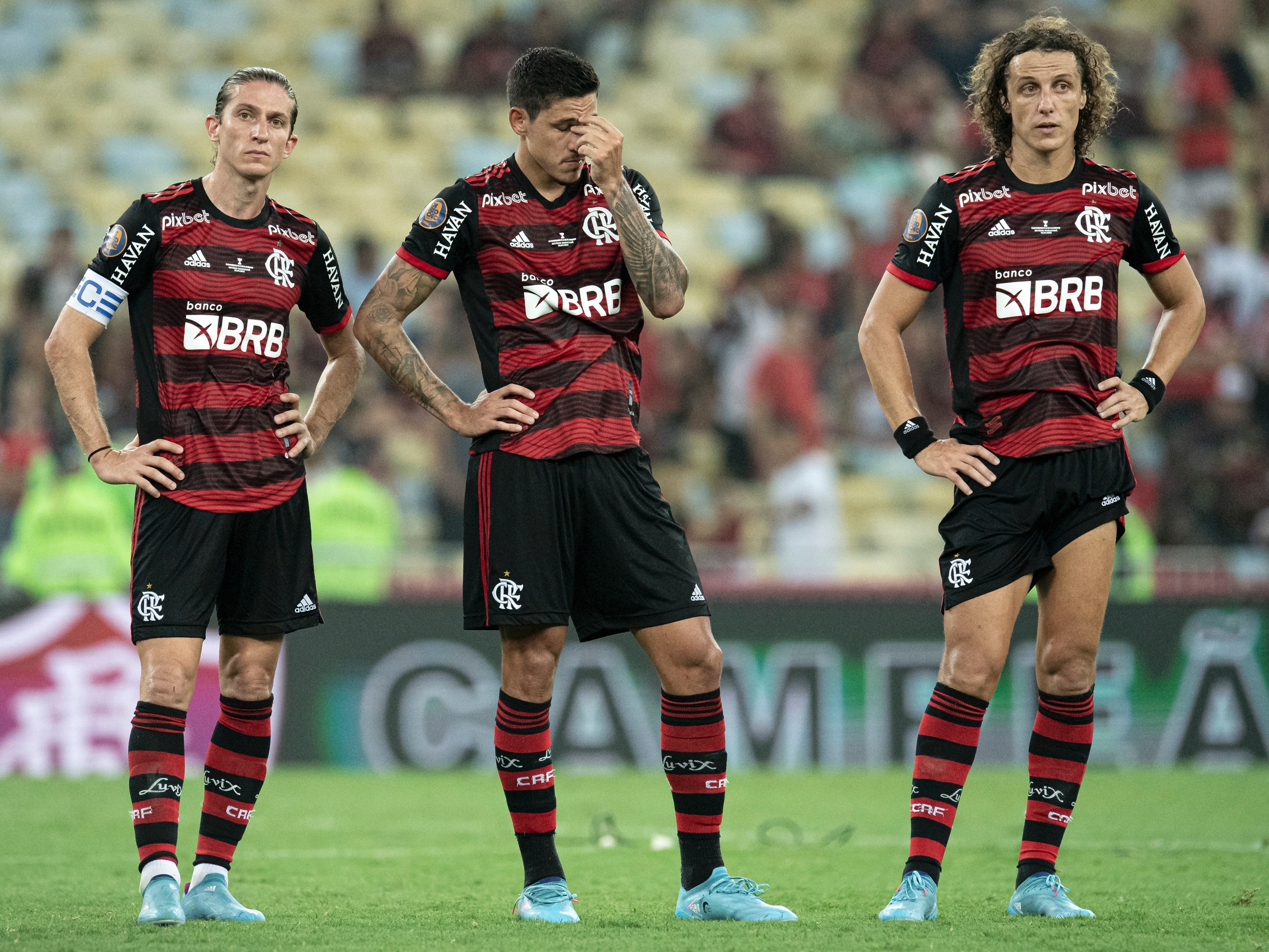 Flamengo não tem estádio, - Palmeiras o Maior do Brasil