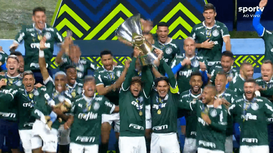 Scarpa e Gustavo Gómez levantam a taça do Brasileirão, conquistado pelo Palmeiras - Reprodução