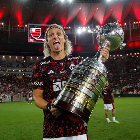 David Luiz com a taça da Libertadores: um dos principais líderes do elenco do Flamengo  - Gilvan de Souza/Flamengo