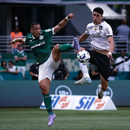 Palmeiras e Botafogo lideram os respectivos grupos no Mundial de Clubes - Fabio Giannelli/AGIF