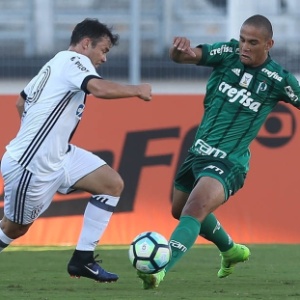 Agência Palmeiras Agência Palmeiras