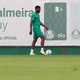 Resta um: Palmeiras recupera zagueiro e só tem Bruno Rodrigues no DM