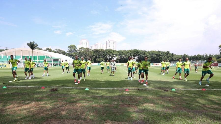 Os jogadores do Palmeiras em treinamento na Academia de Futebol - Cesar Greco/Palmeiras