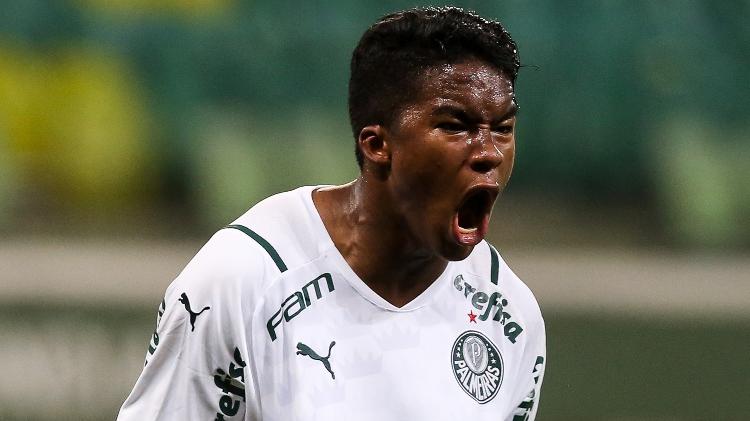 e - Fabio Menotti/Palmeiras - Fabio Menotti/Palmeiras